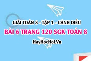 Giải bài 6 trang 120 Toán 8 Tập 1 SGK Cánh Diều